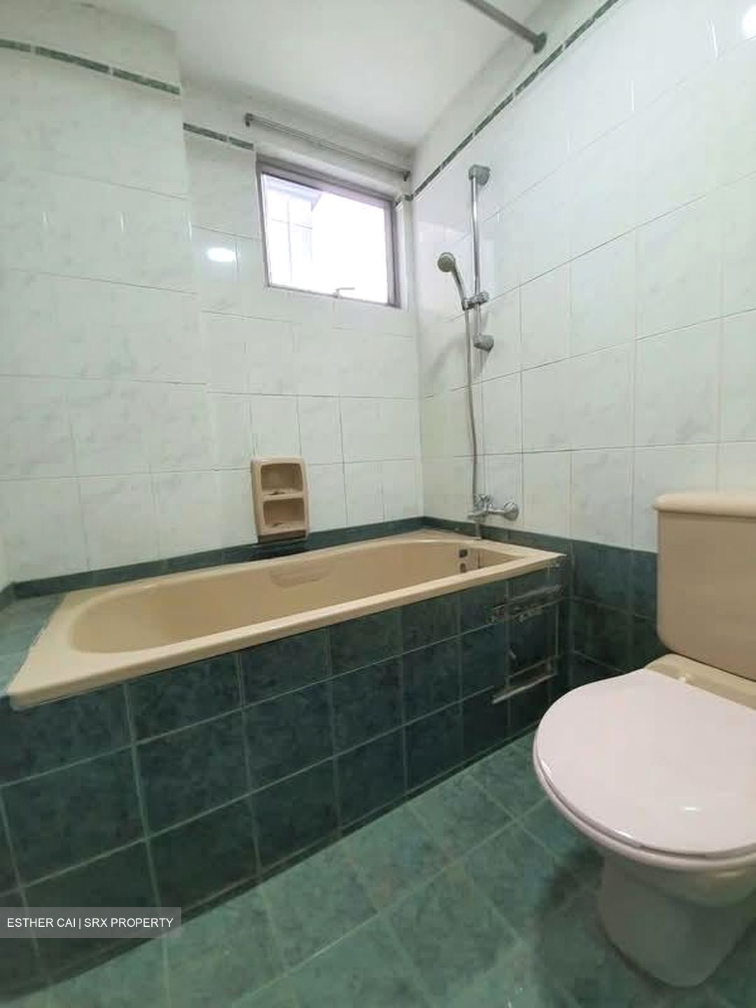 The Riverside Piazza (D1), Apartment #585950181